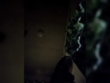 Bongacams Sex Chat of candicelovee