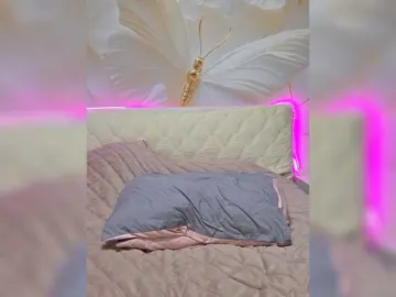 Bongacams Live Sex of TerriRose