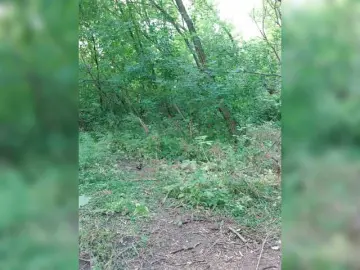 Bongacams Live Sex Cam of Lubovniki