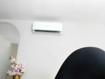 Bongacams Adult Webcam of milfebony