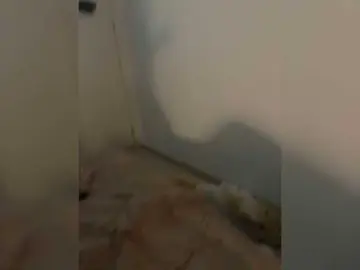 Bongacams Live Sex Cam of Twixxxxxx
