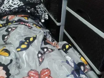 Bongacams Sex Cam of candyshane