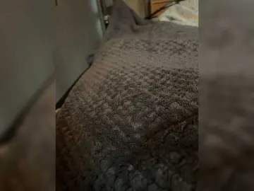 Bongacams Free Porn Cam of Astimax