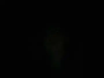 Bongacams Watch Live Sex Cams of OpenGirl