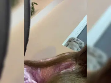 Bongacams Free Live Porn of LittleDelora