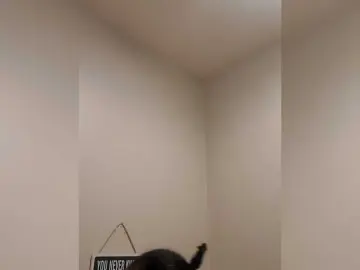 Bongacams Free Porn Cam of QueenAnitaDix