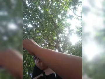 Bongacams Live Sex Cam of XXhornywetprincess99XX