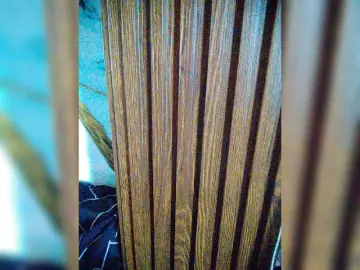 Bongacams Best Webcam of XXhornywetprincess99XX