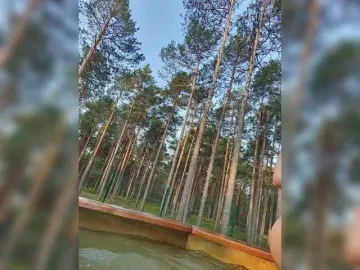 Bongacams Sex Cam of Jonneb