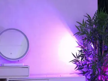 Bongacams Live Sex of ArtTeasee