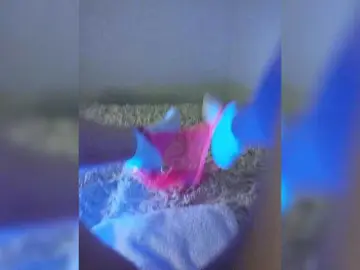 Bongacams Best Webcam of amazingtits-5D