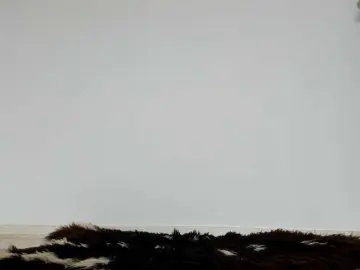 Bongacams Live Porn of Cimbelka