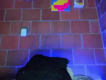 Bongacams Best live sex cam show of cata-anngel