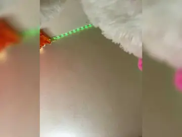 Bongacams Live Sex of AbbyRoss