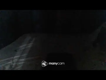 Bongacams Free Porn Cam of Sureloveee