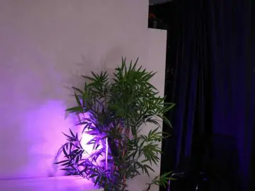Bongacams Private Sex Chat of JessyKisss