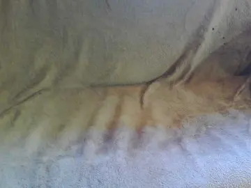 Bongacams Free Porn Cam of Stasja1
