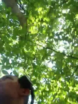 Cam4 Live Sex of Becquet