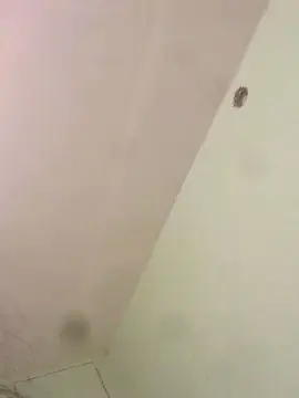Cam4 Sex Cam of Tuperrita33