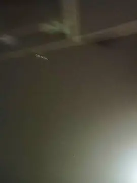 Cam4 Live Porn of Abrahao22