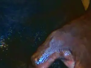 Cam4 Sex Chat of ELNegroxsalvajx