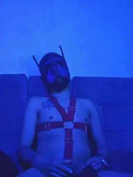 Cam4 Best Webcam of Harlekiing