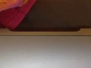 Cam4 Adult Webcam of pigpants69