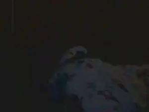 Cam4 Adult Webcam of cumtome69