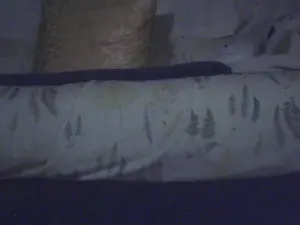 Cam4 Sex Cam of inagi
