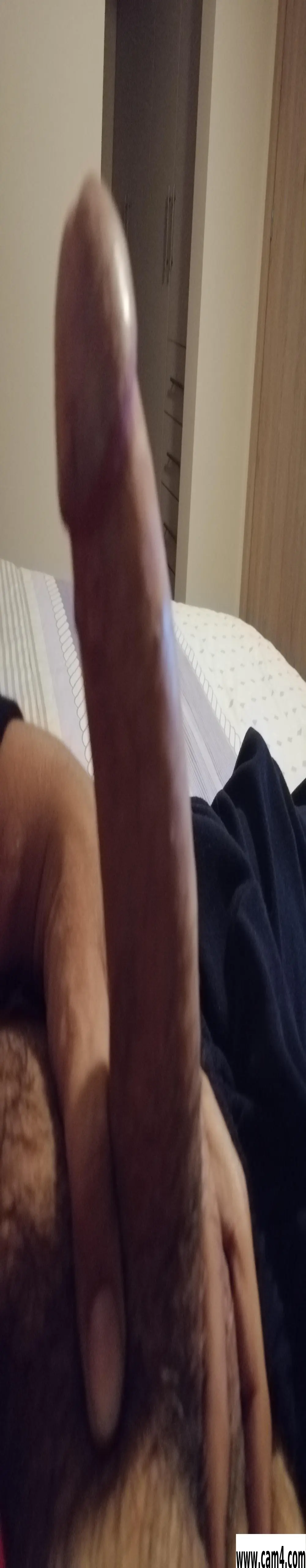 _77_pene_77