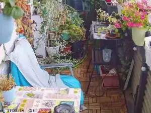 Cam4 Sex Cam of sweetnude83