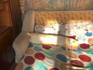 Cam4 Live Sex Cam of ChinBerky