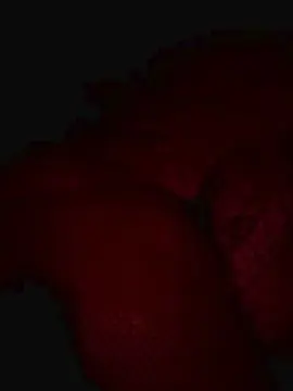 Cam4 Nude Webcam of Javieritaaa28
