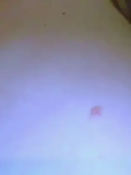 Cam4 Sex Chat of drXstrangelove