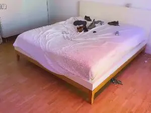 Cam4 Free Live Porn of IDGAFBoi