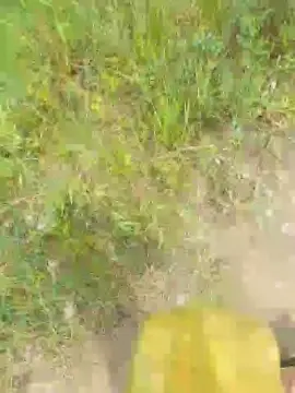 Cam4 Live Sex of souzakw2
