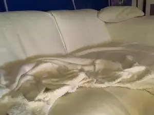 Cam4 Private Sex Chat of young_slut