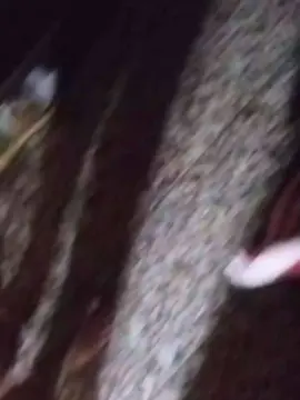 Cam4 Sex Cam of patrickbateman5