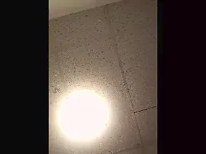 Cam4 Nude Webcam of Beardedveteran