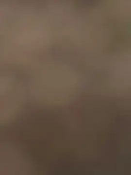 Cam4 Nude Webcam of Hellcage