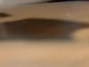 Cam4 Free Porn Cam of Arne_nrw_bi