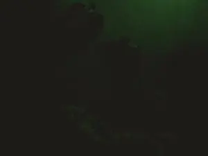 Cam4 Free Porn Cam of Nathalia_Looes