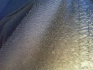 Cam4 Best live sex cam show of esox77