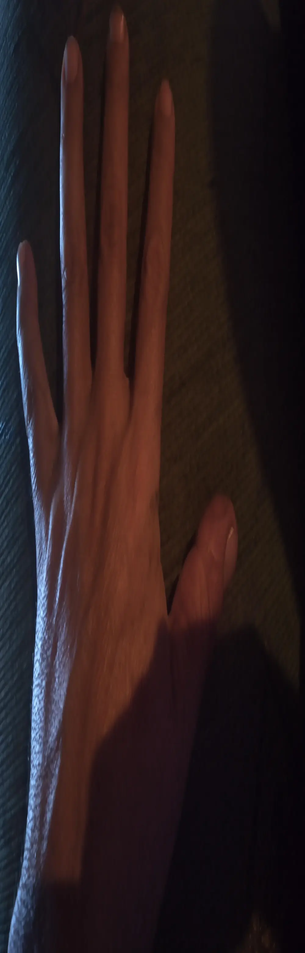 herculs_sexy