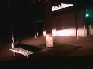 Cam4 Live Sex of sissy_dev_maso