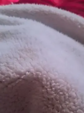 Cam4 Best Webcam of thenewking1