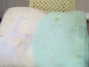 Cam4 Adult Webcam of pacharrumba