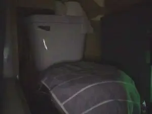 Cam4 Live Sex of Cum_Daddy39