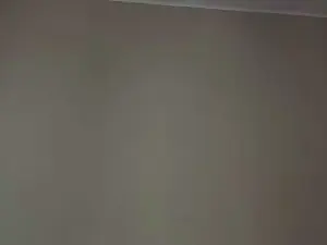 Cam4 Live Porn of SomeFun2guys