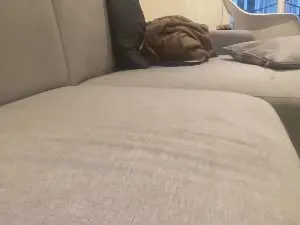 Cam4 Adult Video Chat of raoulbtnbois